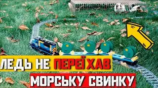 Запускаю Вантажний ЛЕГО потяг на своему подвір'ї | LEGO TRAIN TRACK