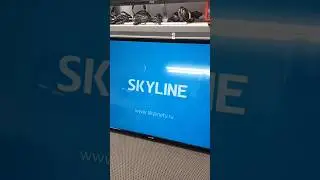 Простой ремонт телевизора Skyline