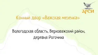 Конный двор «Важская мезенка», деревня Рогачиха, Вологодская область
