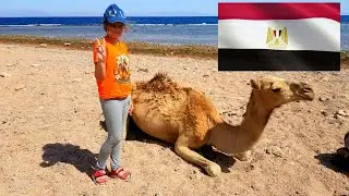 КАНИКУЛЫ В ЕГИПТЕ 2021
