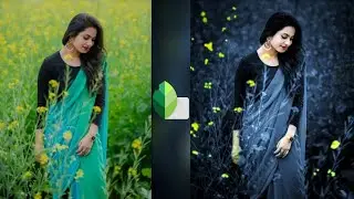 New Snapseed Dark Blue Effect Photo Editing Trick 🔥 | Snapseed Background Colour Change Trick