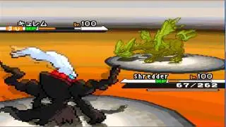 -HD- Pokemon Black and White Battle Test Quality/Color CHECK DESCRIPTION
