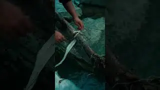 🎍Manual Production Of Traditional Chinese Bamboo Paper 📃 ▪︎ #art #paper #traditional #chinese