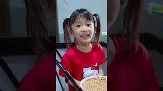 Mamoy Makan Makanan Kucing 