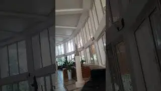 Сарыағаш арасаны. 11.06.2023 жыл.