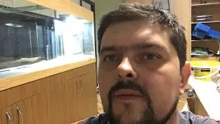 Аквариум мечты