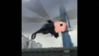 PETERCOPTARHH