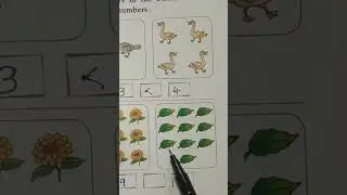Count & Write Number of Leaves