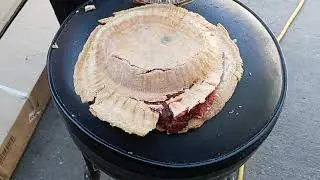 Cherry Pie for Dessert