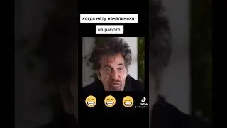 😂Когда нет начальника на работе 😂