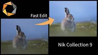 How I Edit a Wildlife Photo with the NEW Nik Collection 9 + Updates