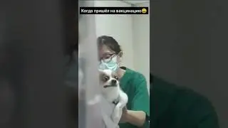 Когда пришёл на вакцинацию😄