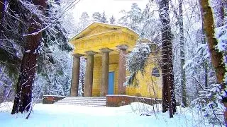 Snow in the Pavlovsk Park (2016)