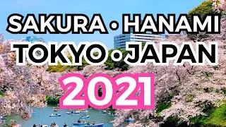 TOKYO 2021 🌸 SAKURA 🌸 VIRTUAL JAPAN 🌸 HANAMI 2021 