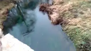 Дзертнікі   Гальшаны, такая дарога