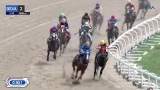 (Seoul) 2026.07.19 R2 Class 6 (1300M) Special Weight A