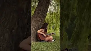 сколько голубей прошло? 👀