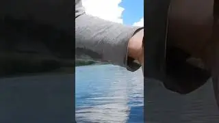 4 августа 2024 г.