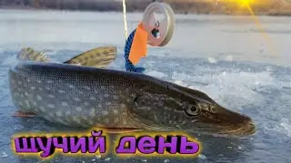 Зимняя рыбалка затон Сока. Щука. Подводная съёмка#рыбалка