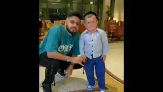 ХАСБИК НАПУГАЛ ШЕЙХА. ДОС МЕРТИ. #РЕКОМЕНДАЦИИ