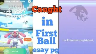 Pokemon GO: Mesprit raid. Read the description