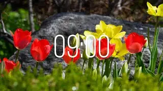 9 Minute Timer with Music | Spring Timer🌹