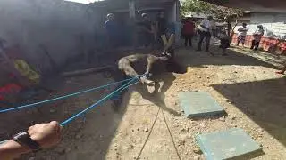 GOPR4165