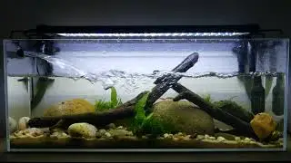 High Flow Hillstream Aquarium