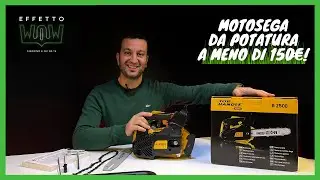 LA MOTOSEGA DA POTATURA PERFETTA per i lavori in giardino a meno di 150€