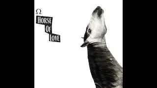 NEEDSHES - Horse of Love
