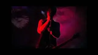 Tiro de Gracia - Shine