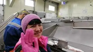 РыбЗавод «Колхоз Октябрь»