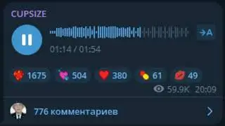 CUPSIZE - двадцать два (Acoustic / Snippet 01.12.24)