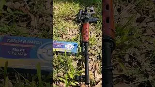 Dragunov SVD Tiger Accuracy
