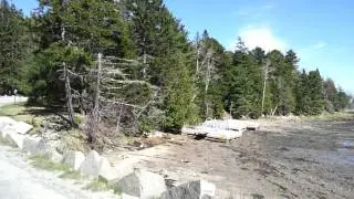 Samsung Droid Charge 720p Outdoor Test
