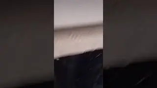 салам рессора пополам