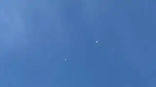 Бойные голуби Казахстана Самата Шымкент