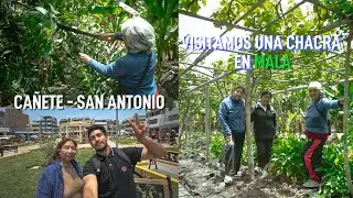 MALA - CAÑETE - SAN ANTONIO: comida y naturaleza al sur de Lima ft. mi abuelital ermitañoclips