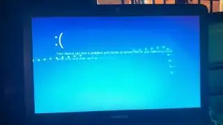 (Requested) Little bunnies has BSOD