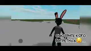 Untitled video