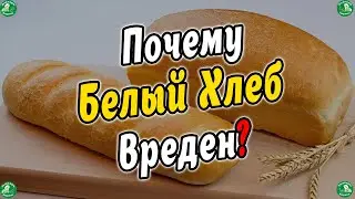 Почему Белый Хлеб Вреден? Коротко о главном! 🍞🍔 Знахарь-Кирилл 🧙