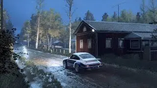 Dirt Rally 2.0 (PC) - Kailajärvi (Finland) in the Porsche 911 SC RS (Group B)