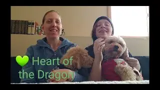 Dog Tales Part 2: Introducing Grace