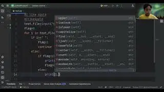 How to use flag variable in python 