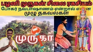 🔥பழனி போகர் நவபாஷாண சிலை | Harsar Looks 