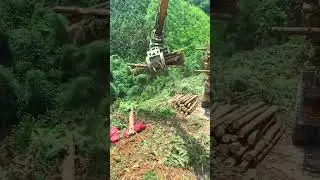 The wood in the mountains is loaded onto trucks like this #car