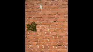 Последний лист  mp4