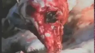 Любишь одежду из меха ?
