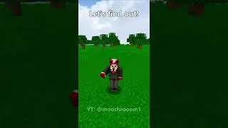 What Does /kick Command do in Singleplayer?