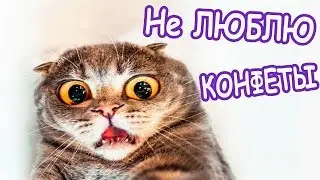 Приколы 2018